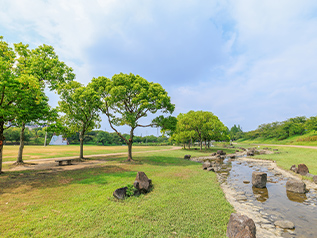 打上川治水緑地